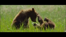 Our Universe - Season 01 Episode 03